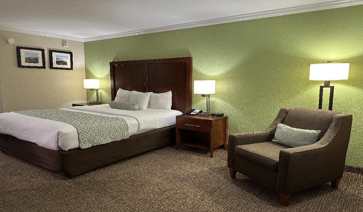 1 King Bed