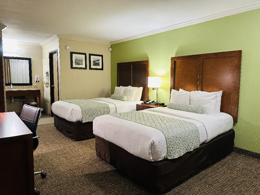 Room with 2 Beds