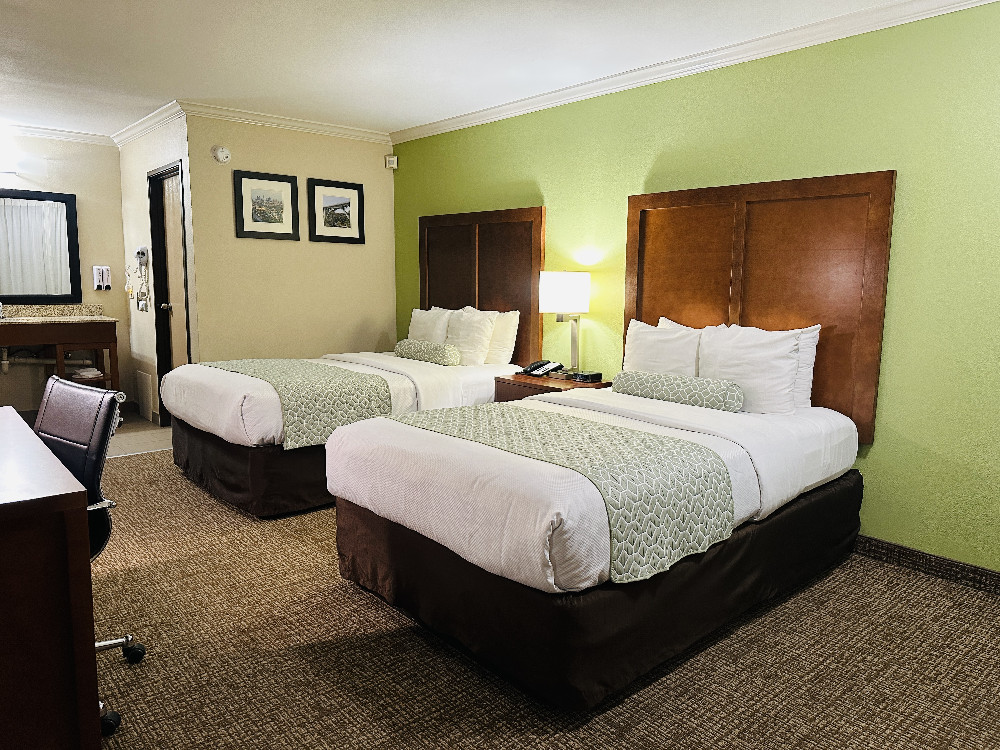 Room with 2 Beds